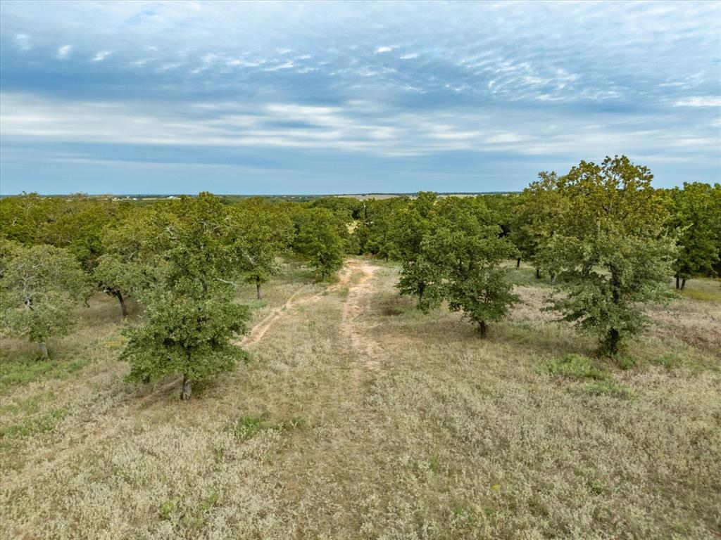 Tbd County Road 2690 Property Photo 14