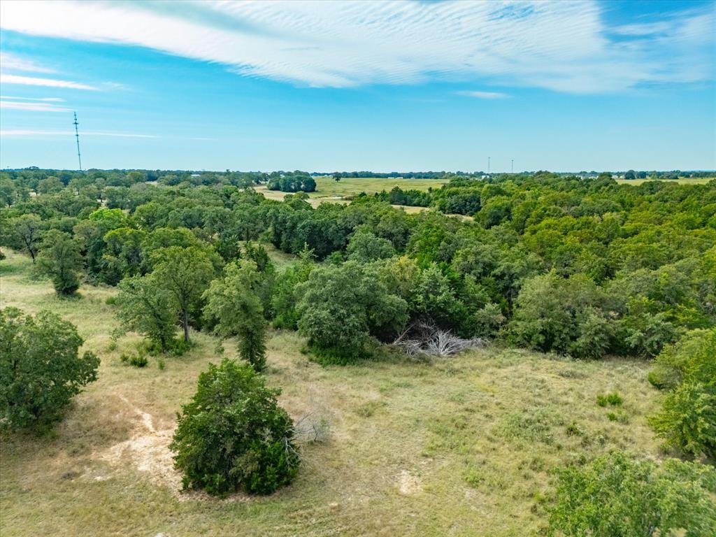 Tbd County Road 2690 Property Photo 34