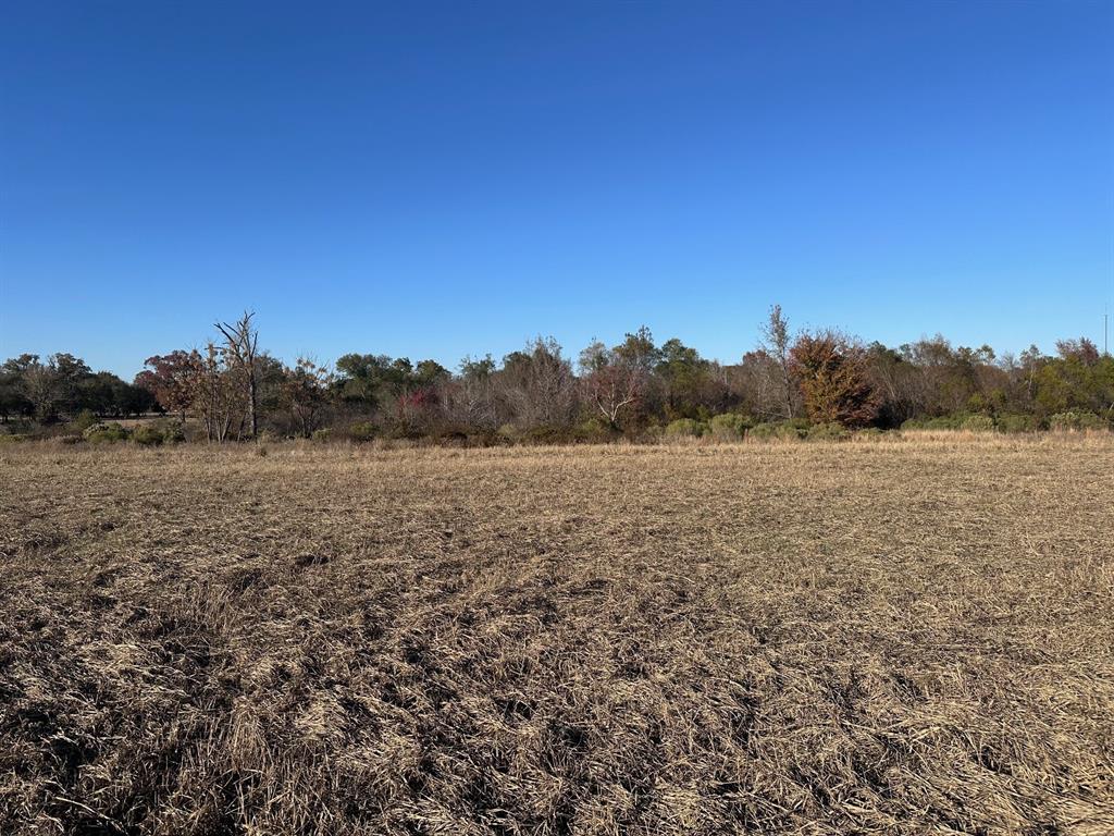 5517 Pr 5107 Property Photo 3