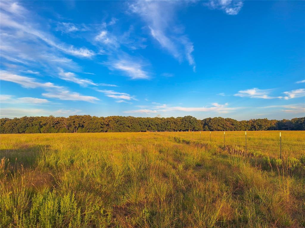Tbd County Road 2147 B Property Photo 12