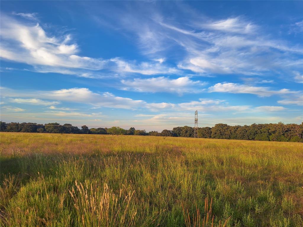 Tbd County Road 2147 B Property Photo 14