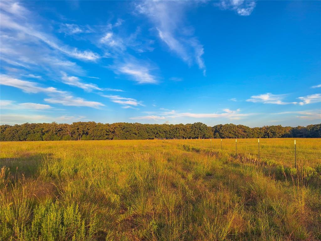 Tbd County Road 2147 B Property Photo 15