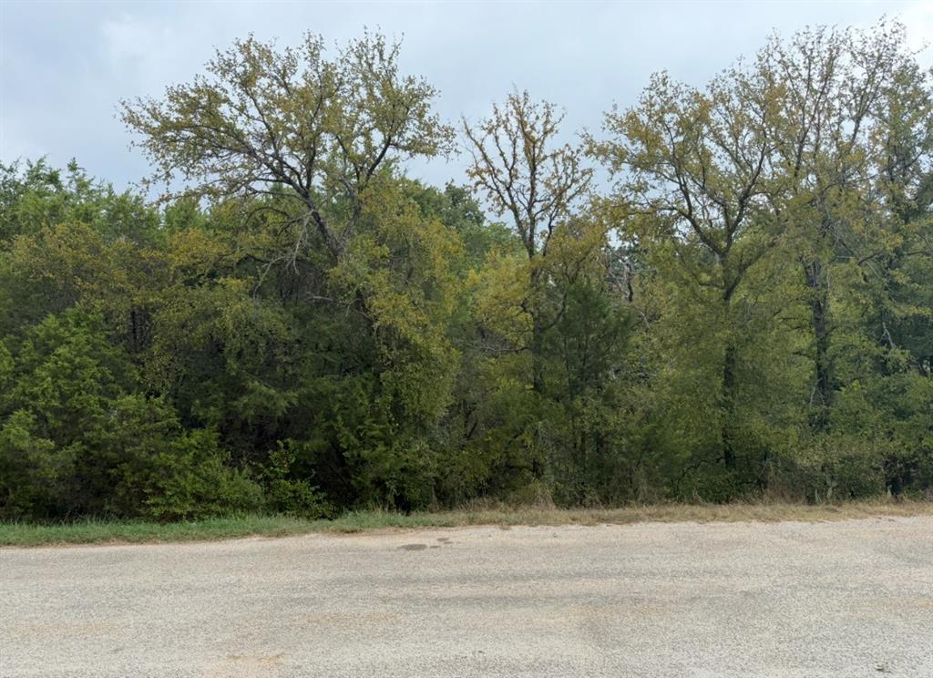 2509 White Oak Trail Property Photo 1