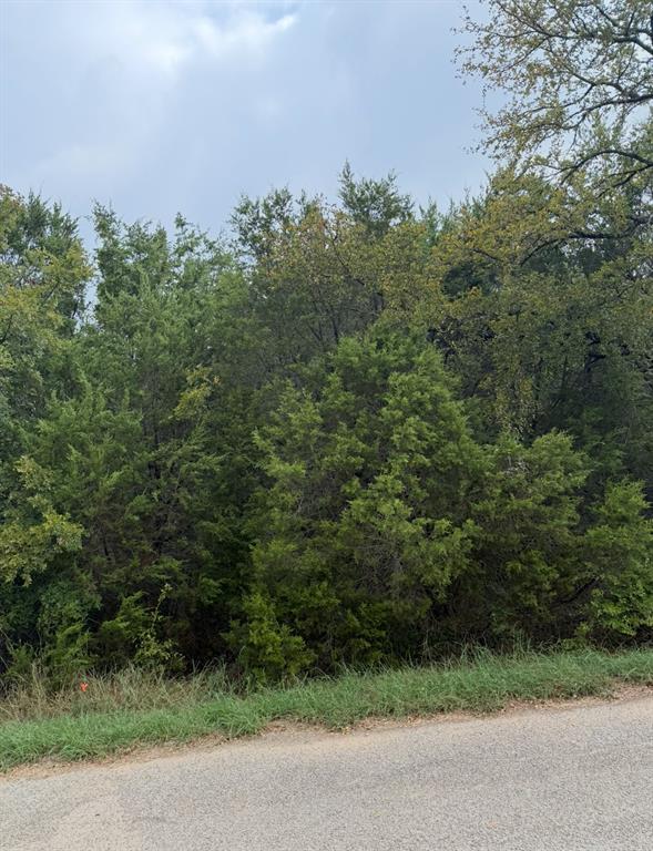 2509 White Oak Trail Property Photo 5