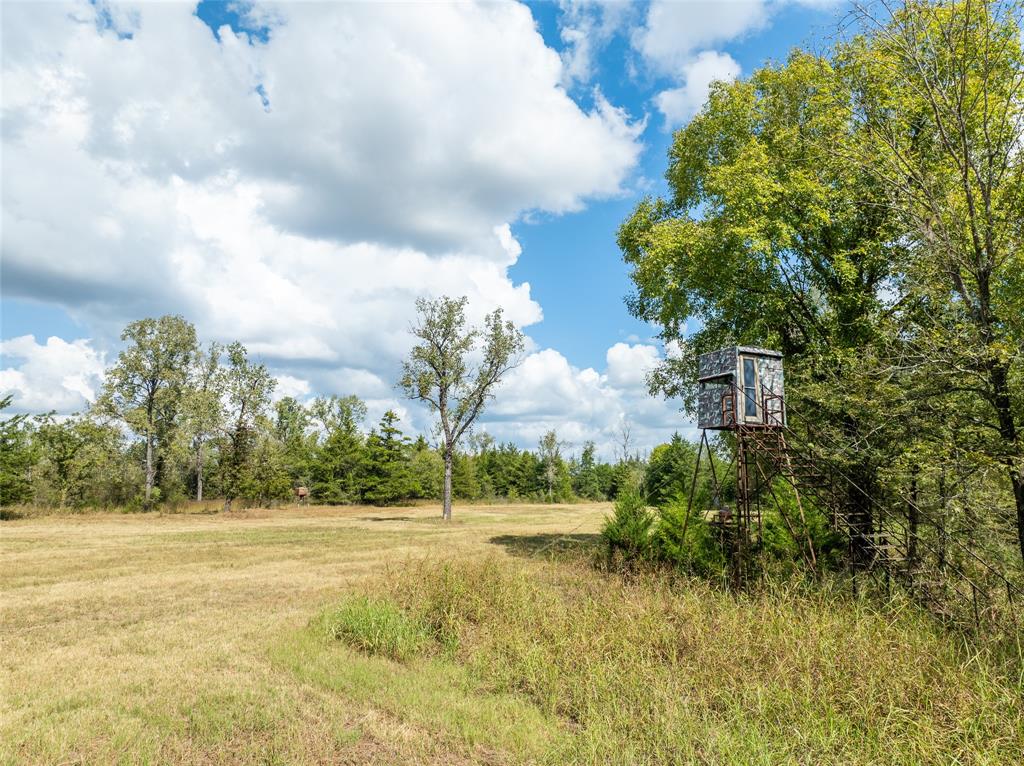 00 Fm 410 Property Photo 16