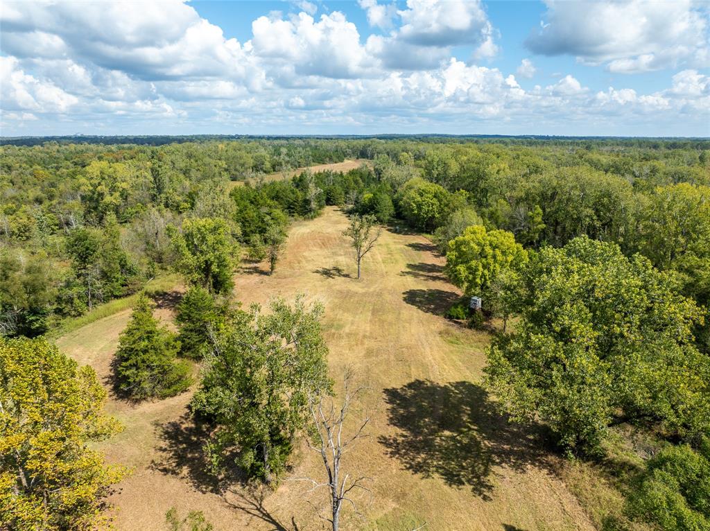 00 Fm 410 Property Photo 17