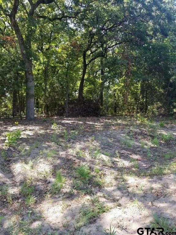 N/a Birch Drive Property Photo 1