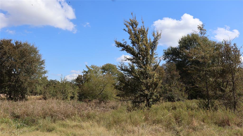 0 Private Road 8608 Property Photo 10