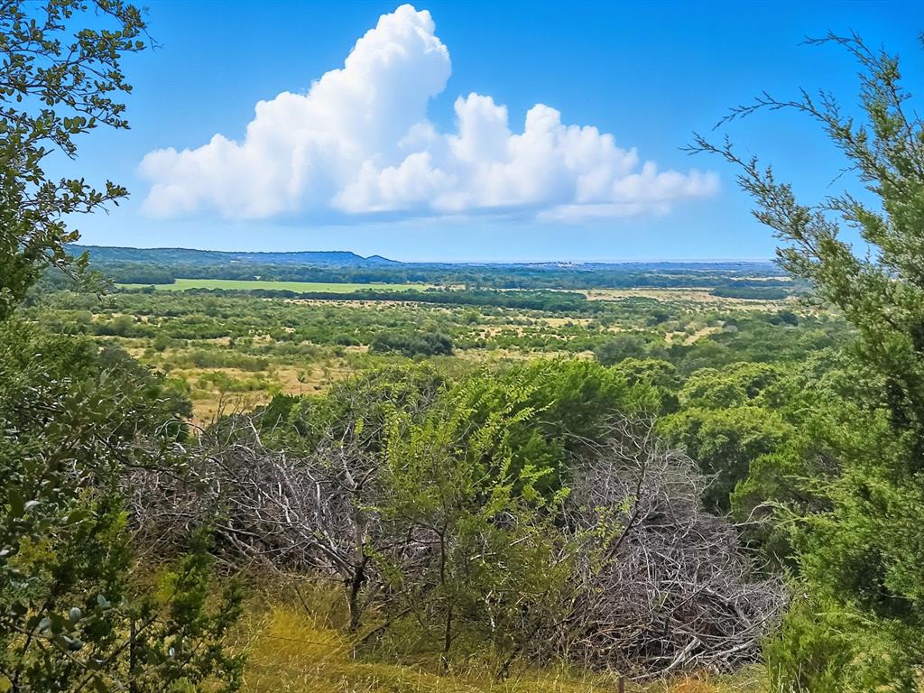 Tdb 482 Acres W Fm 217 Property Photo 1