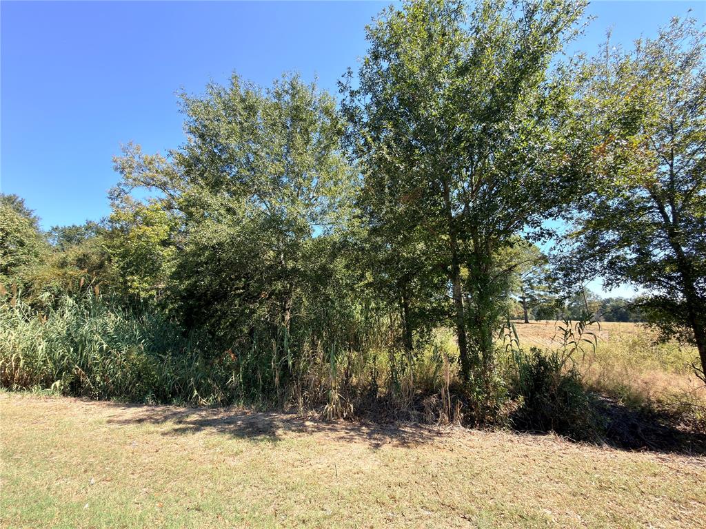 7.5 Acres S State Highway 75 Property Photo 3