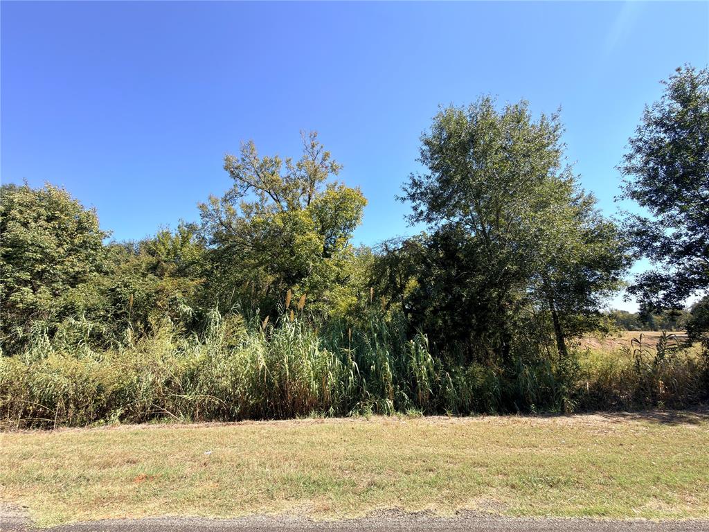 7.5 Acres S State Highway 75 Property Photo 13