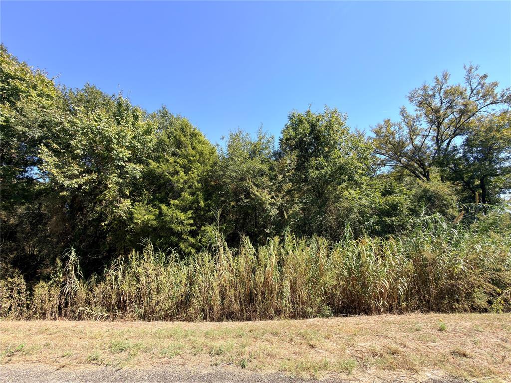 7.5 Acres S State Highway 75 Property Photo 15