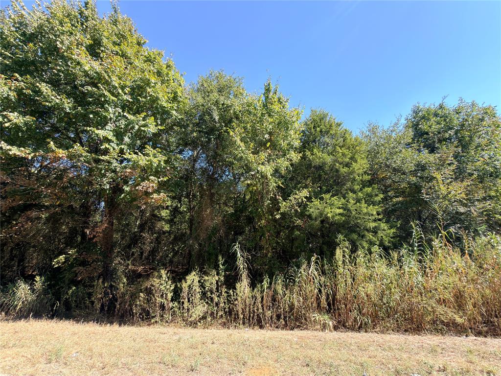 7.5 Acres S State Highway 75 Property Photo 16