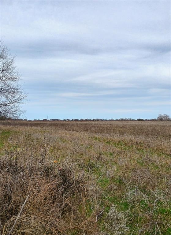 1800 County Road 479 Property Photo 6
