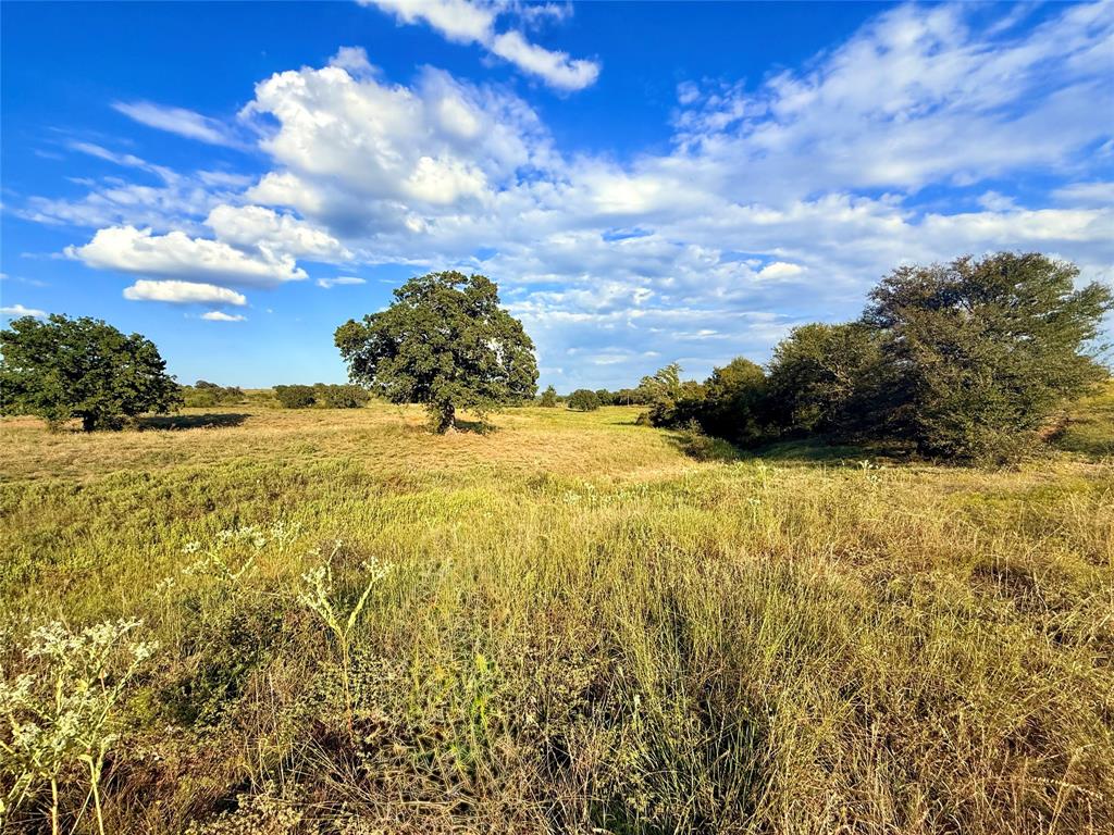 2101 Erwin Road Property Photo 28