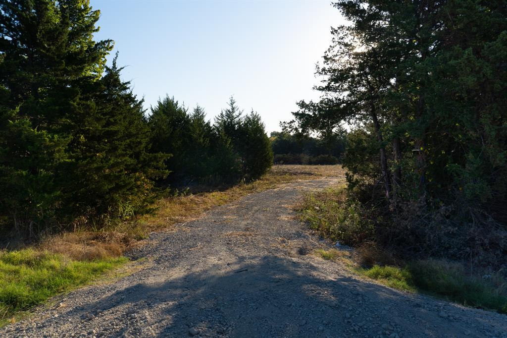 14837 Fm-128 Property Photo 9