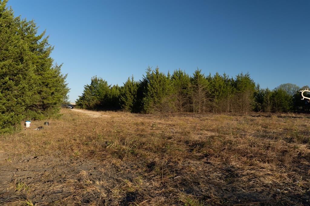 14837 Fm-128 Property Photo 10