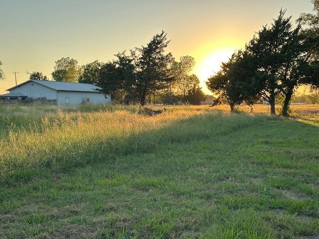 Tba Live Oak Road Property Photo 3