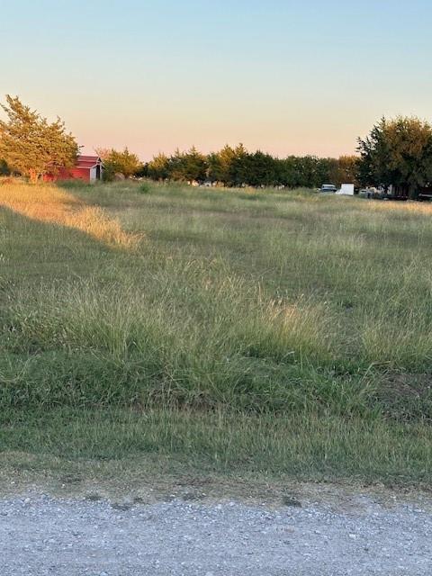 Tba Live Oak Road Property Photo 7