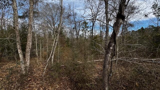 536 An County Road 1233 Property Photo 25