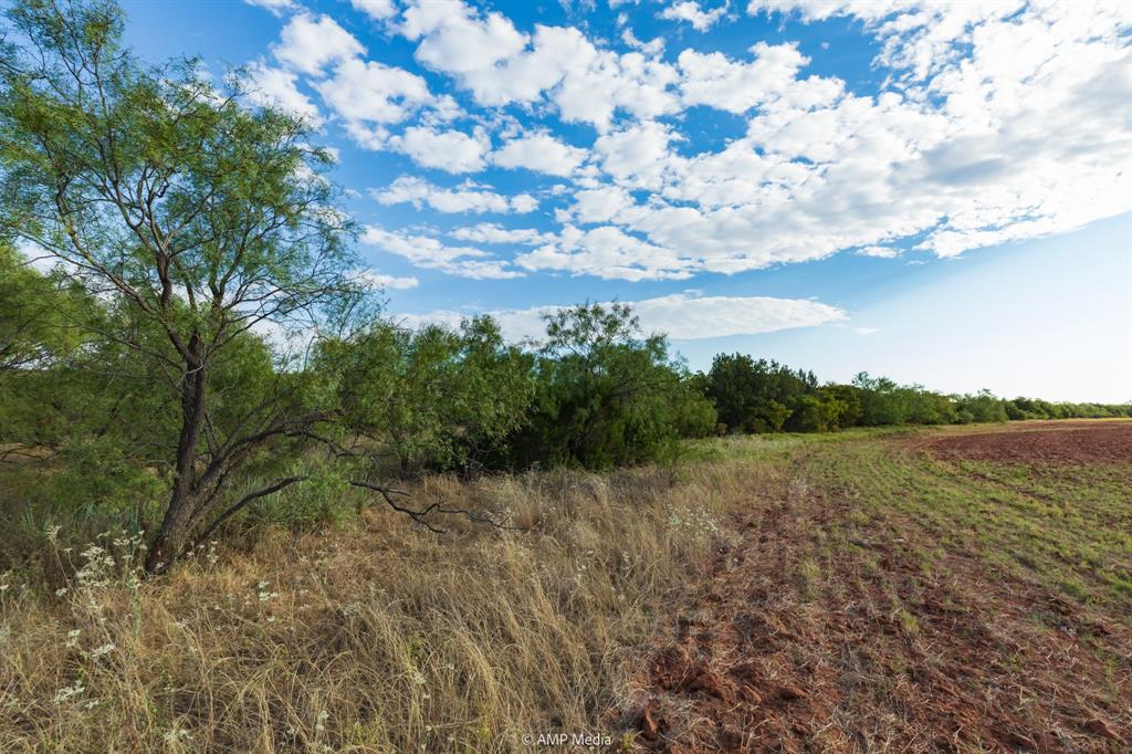 Tbd Cr 107 Property Photo 21
