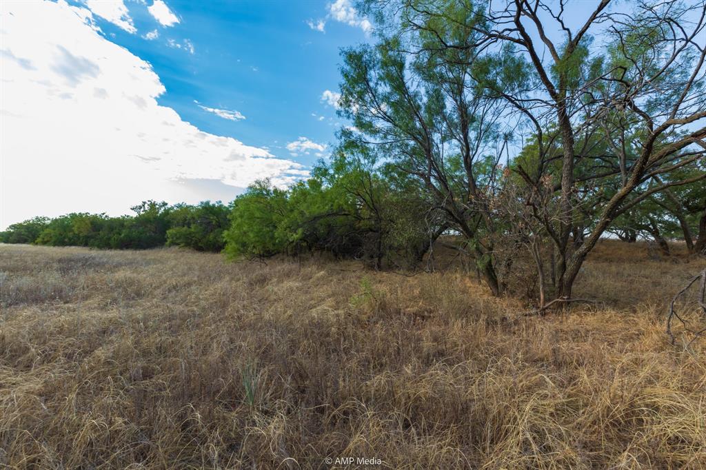 Tbd Cr 107 Property Photo 25