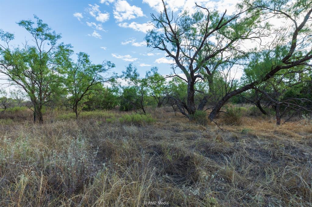 Tbd Cr 107 Property Photo 28