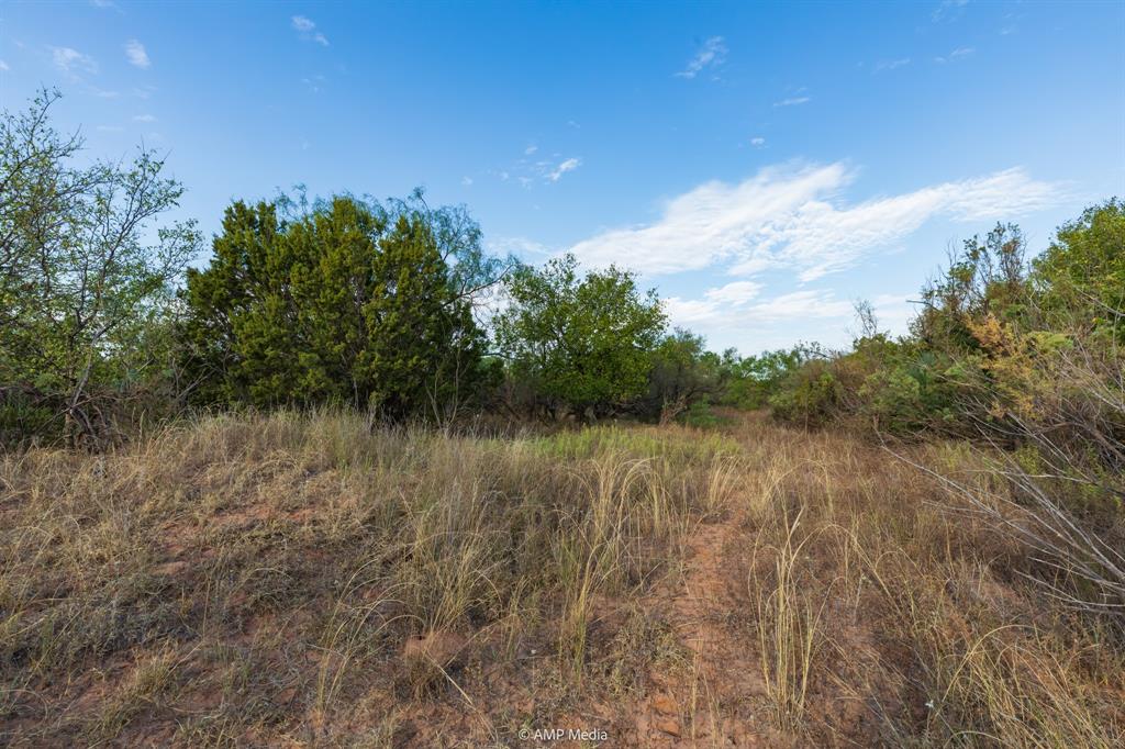 Tbd Cr 107 Property Photo 29