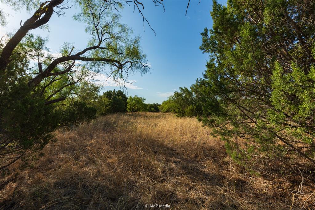 Tbd Cr 107 Property Photo 36
