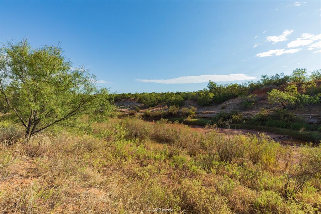 Tbd Cr 107 Property Photo 37