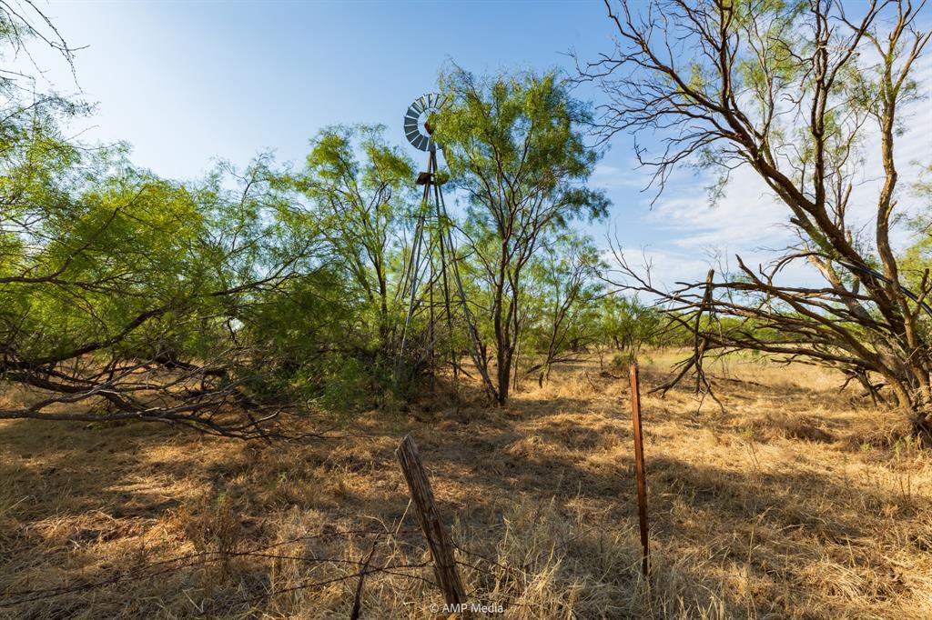 Tbd Cr 107 Property Photo 40