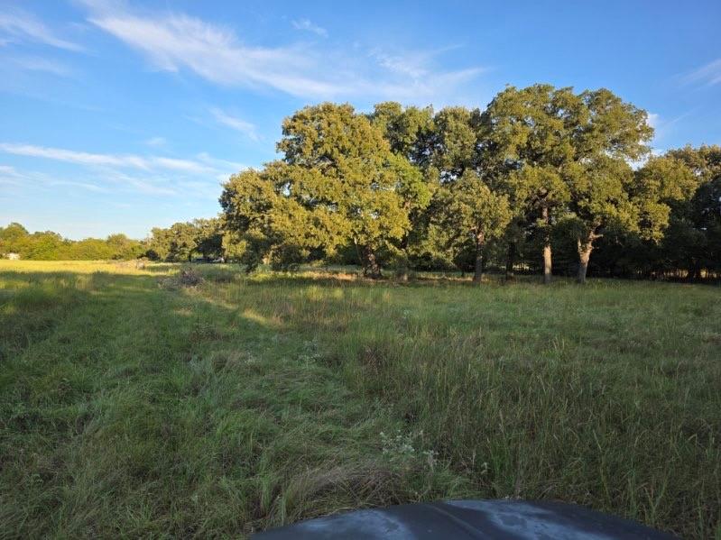 1200 E Rabbit Cove Road Property Photo 6