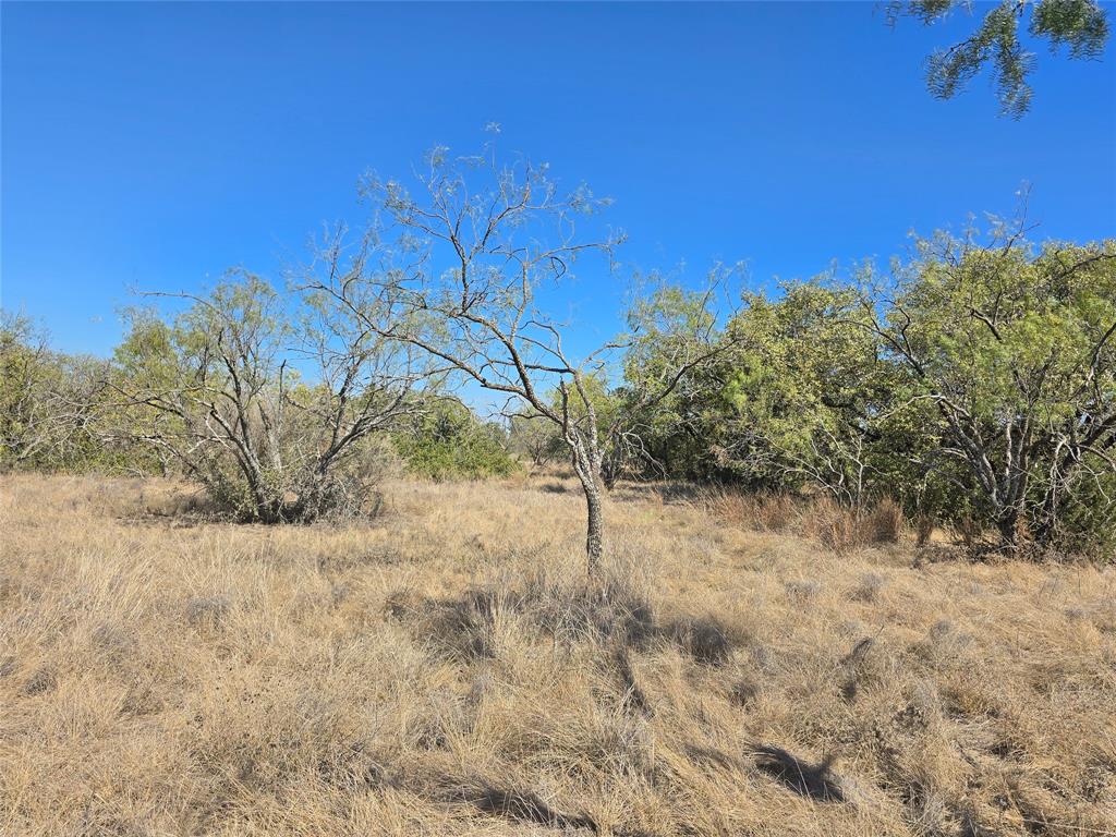 Tbd Cr 108 Property Photo 12