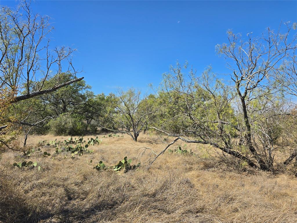 Tbd Cr 108 Property Photo 17
