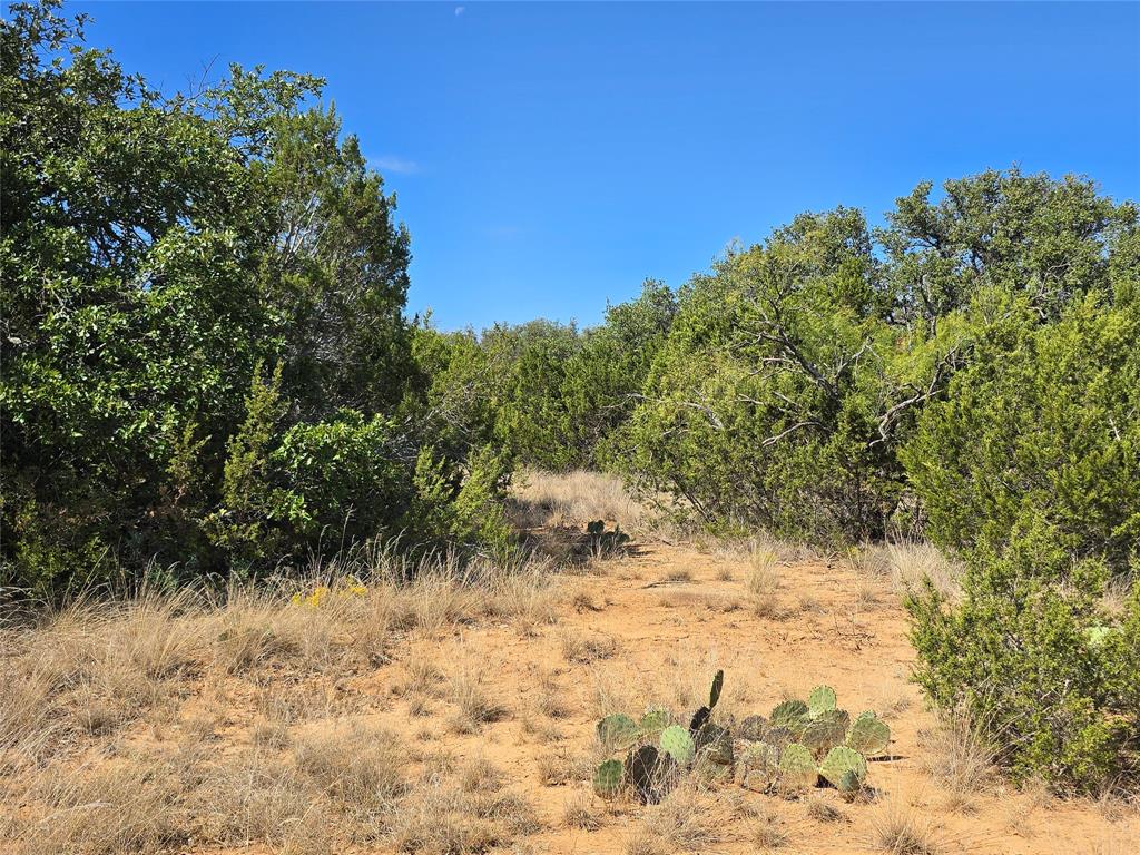 Tbd Cr 108 Property Photo 30
