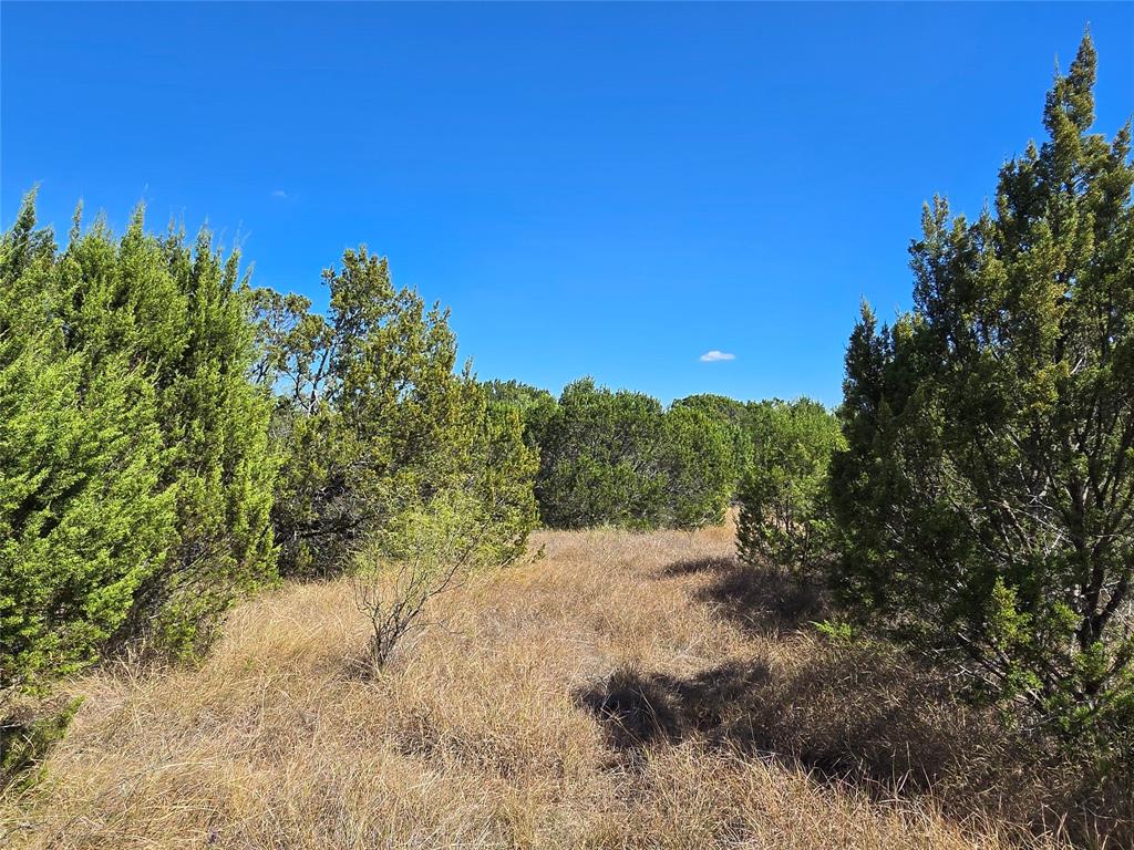 Tbd Cr 108 Property Photo 31