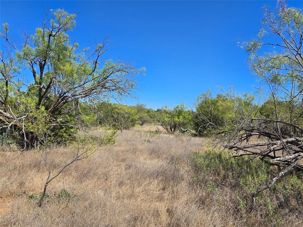 Tbd Cr 108 Property Photo 32
