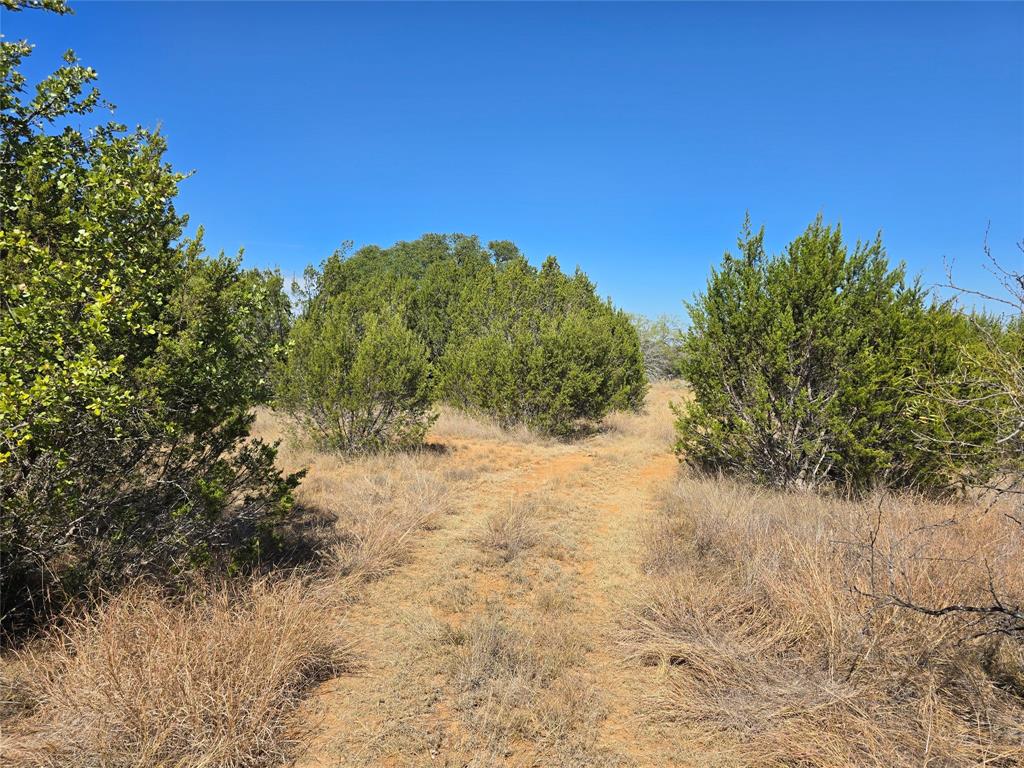 Tbd Cr 108 Property Photo 37