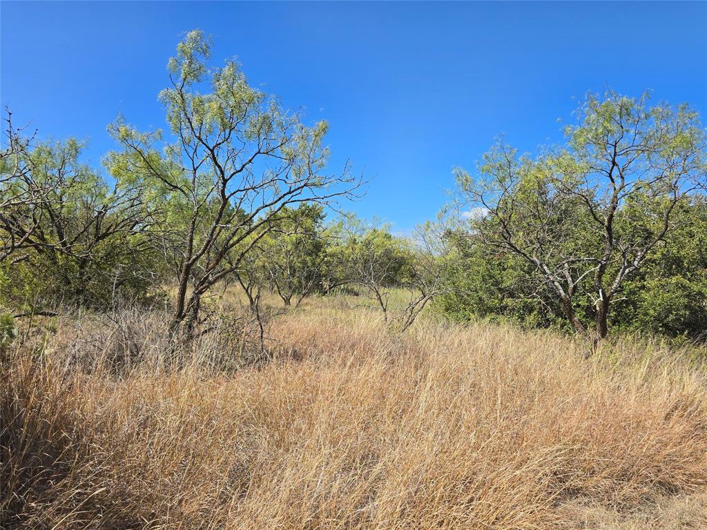 Tbd Cr 108 Property Photo 39