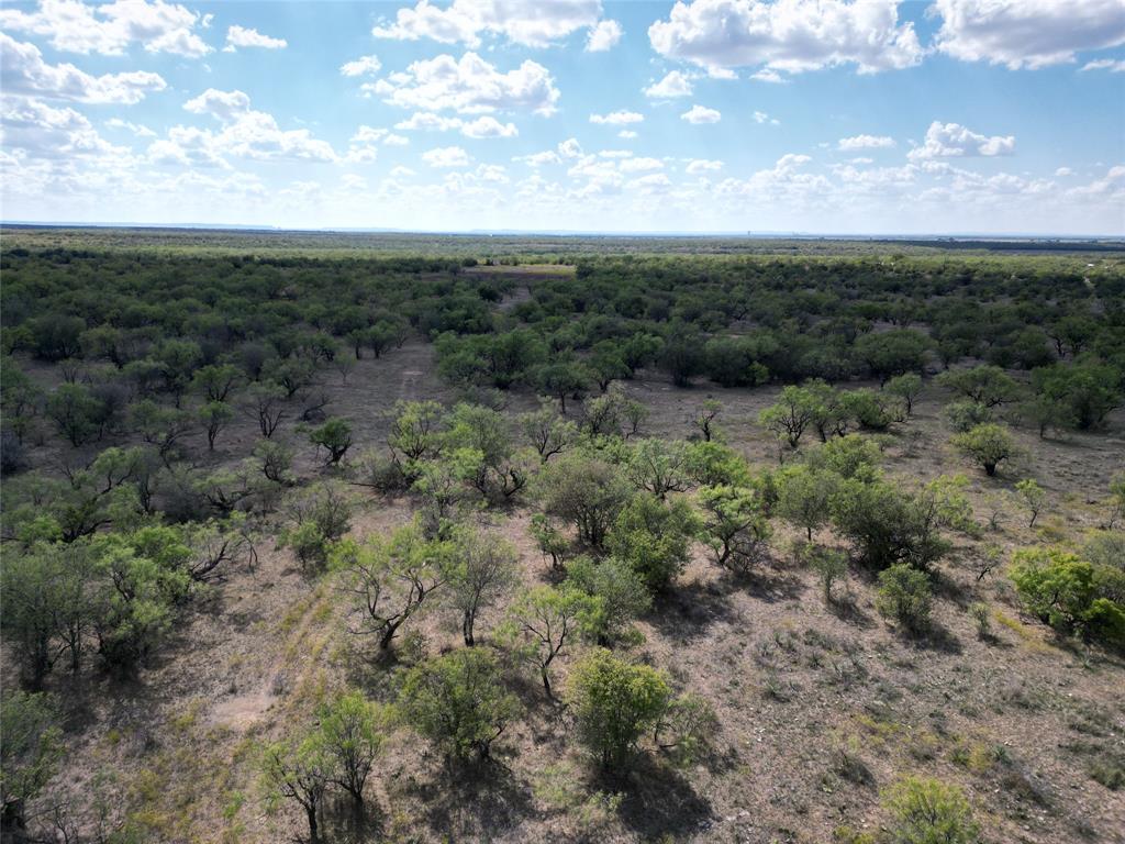 Tbd Tba Cnty Road 100 Property Photo 6