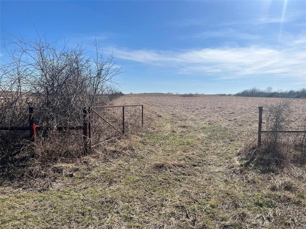 6156 Sky Road Property Photo 6