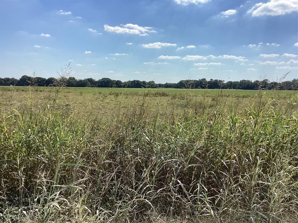 Tbd Sw Cr 3160 Property Photo 8
