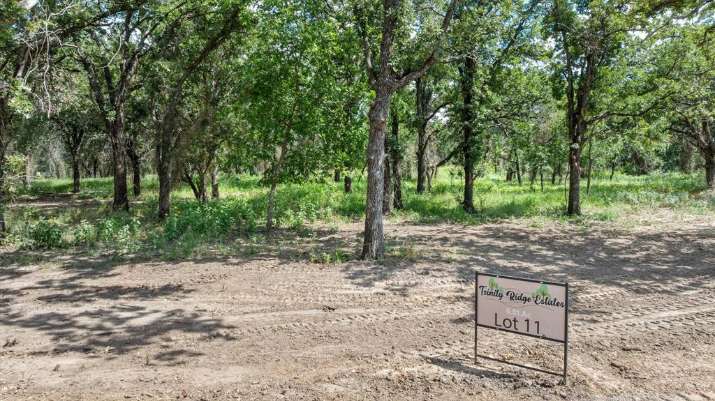 Lot #11 Trinity Ridge Drive Property Photo 3