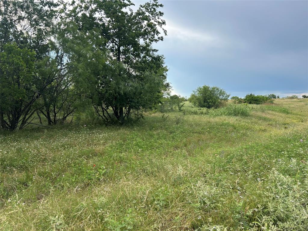 4060 Mirielle Drive Property Photo 1