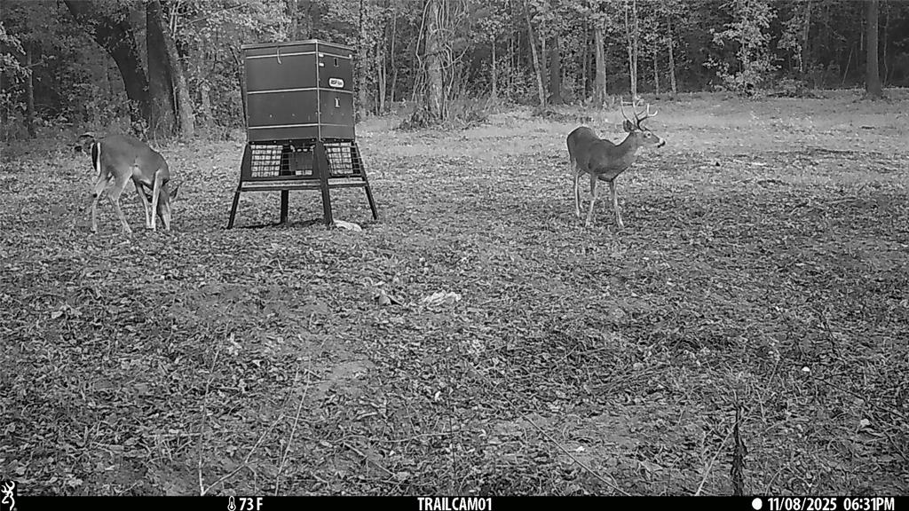 Tbd C R 354 Property Photo 4