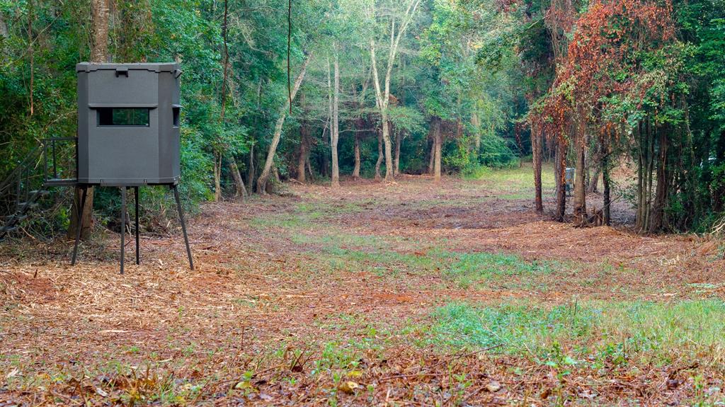 Tbd C R 354 Property Photo 5
