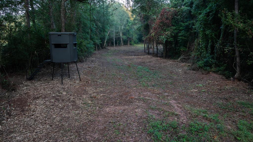 Tbd C R 354 Property Photo 11