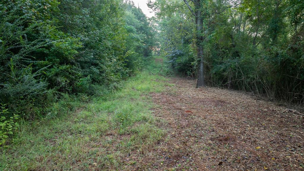 Tbd C R 354 Property Photo 12
