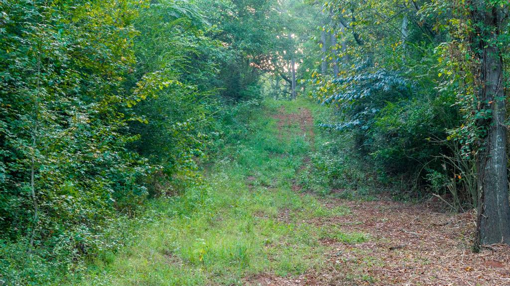 Tbd C R 354 Property Photo 13