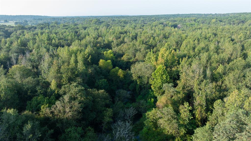 Tbd C R 354 Property Photo 18